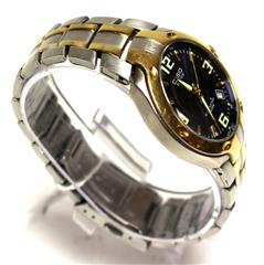 titanium citizen promaster watches